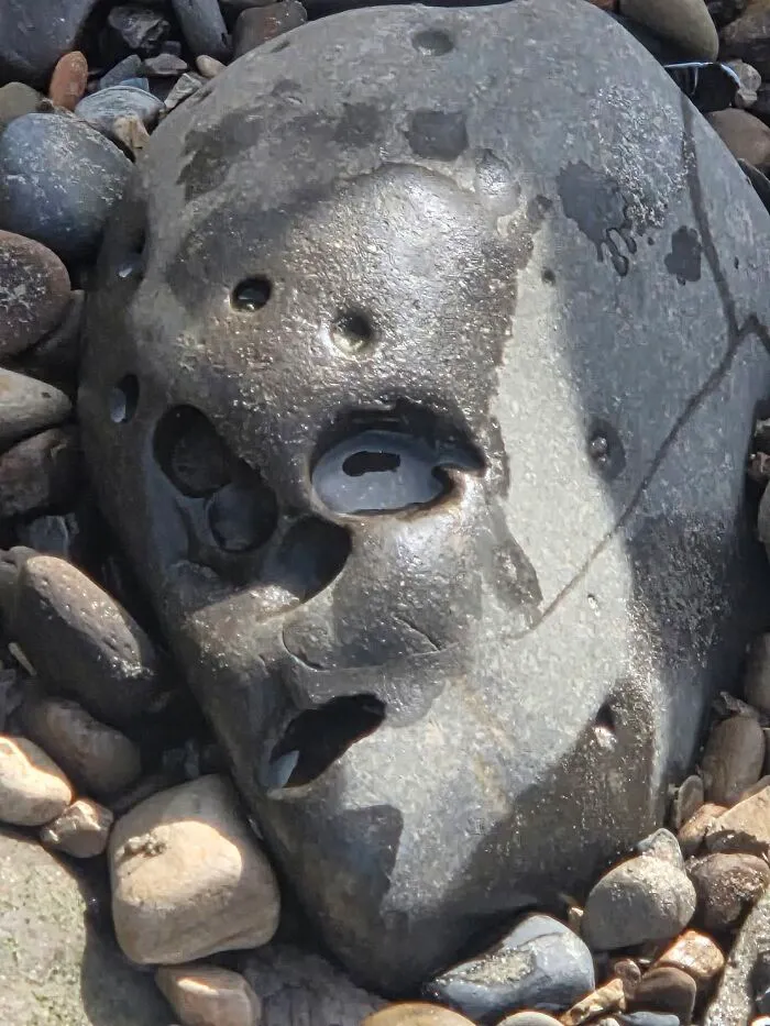 Compromised Alien