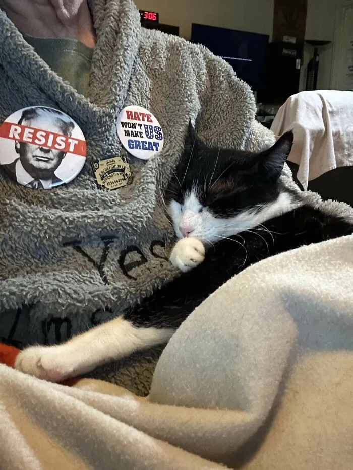 30 People Spilled The Beans On How They Became Cat Owners, And The Stories Are Just Too Wholesome