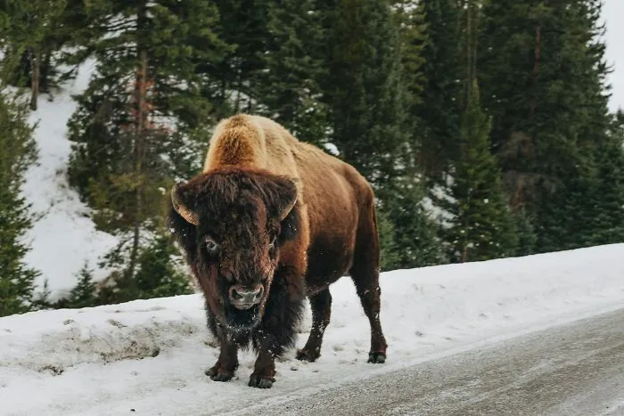 39 Things Some People Don’t Know Are Actually Extremely Dangerous