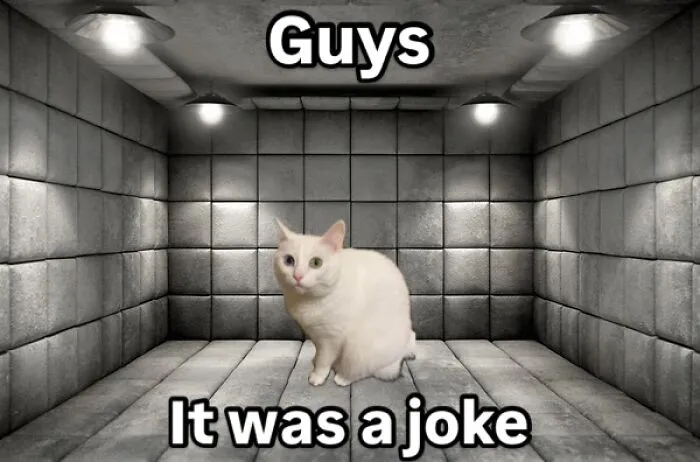 Snowflake Cat