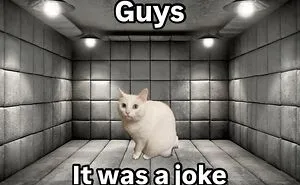 45 Feel-Good Memes From 'A Cat Named Snowflake'
