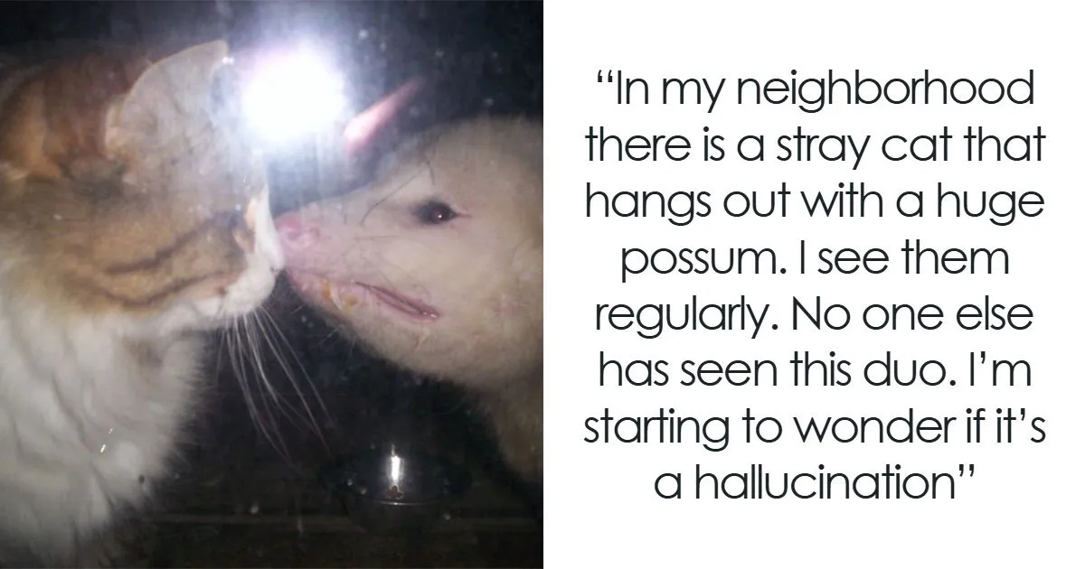 69 Bizarre Things People Witnessed With Their Own Eyes That Had No Logical Explanation