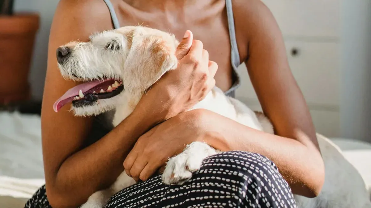 Friends Ban Childfree Woman From Bringing Her Dog On A Trip, Balk When She Refuses To Pay For Their Kids