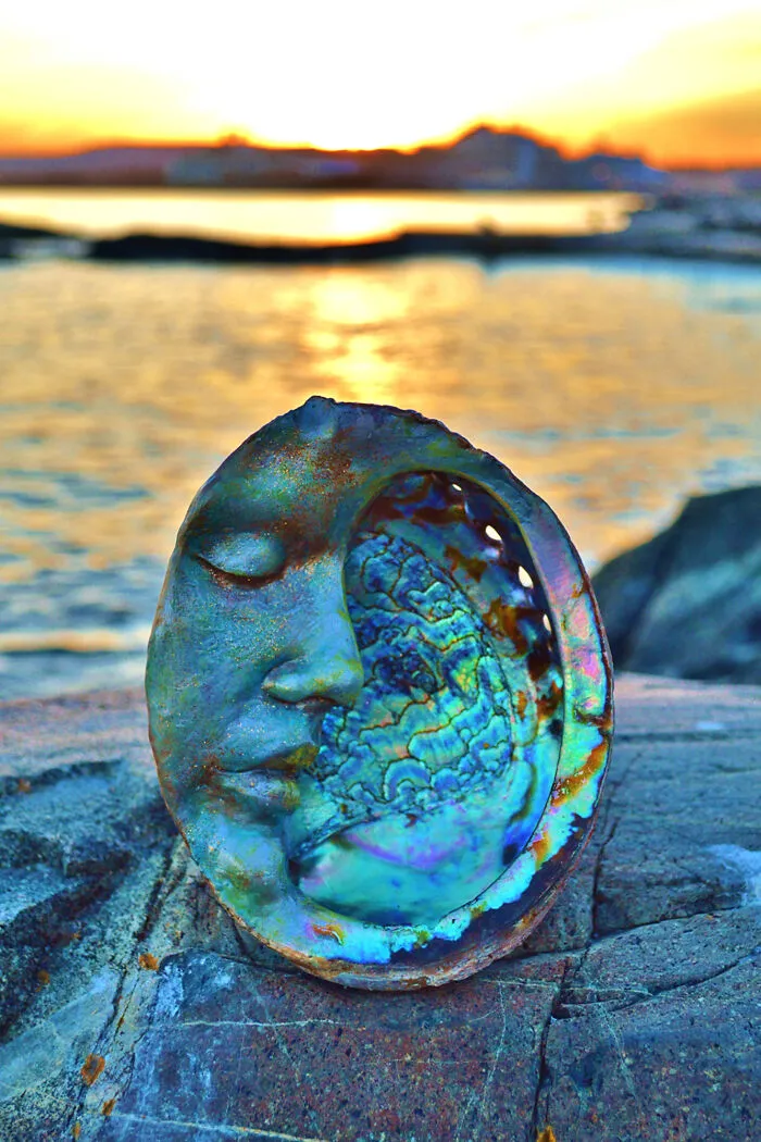 I Create Driftwood Art That Looks Like Nature Came To Life (29 New Pics)
