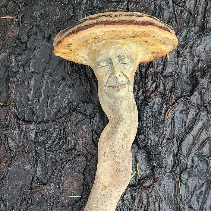 I Create Driftwood Art That Looks Like Nature Came To Life (29 New Pics)