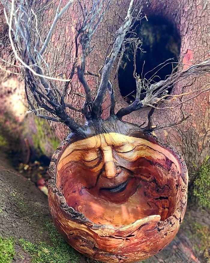 I Create Driftwood Art That Looks Like Nature Came To Life (29 New Pics)