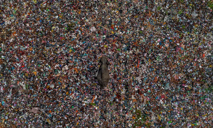 “Echoes Of Waste” By Lakshitha Karunarathna