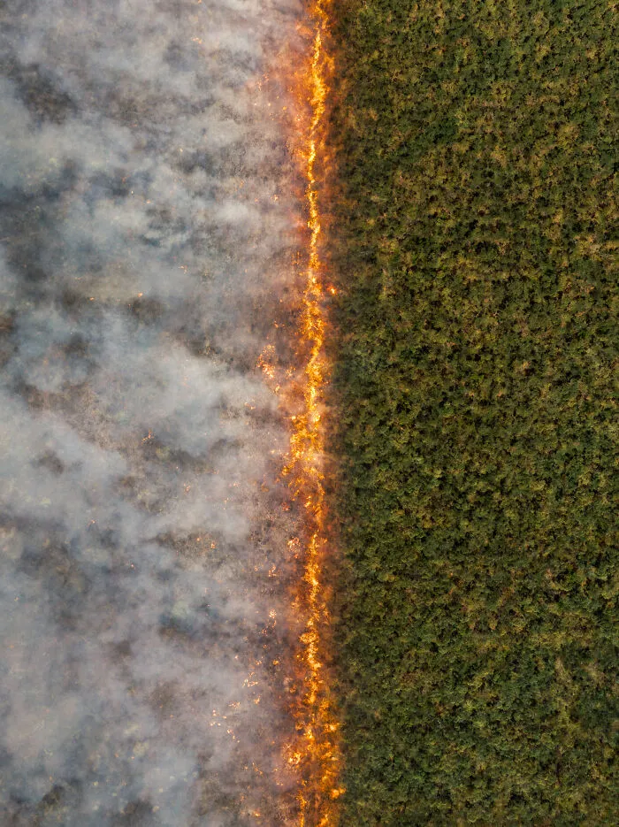 “50/50” By Abstract Aerial Art