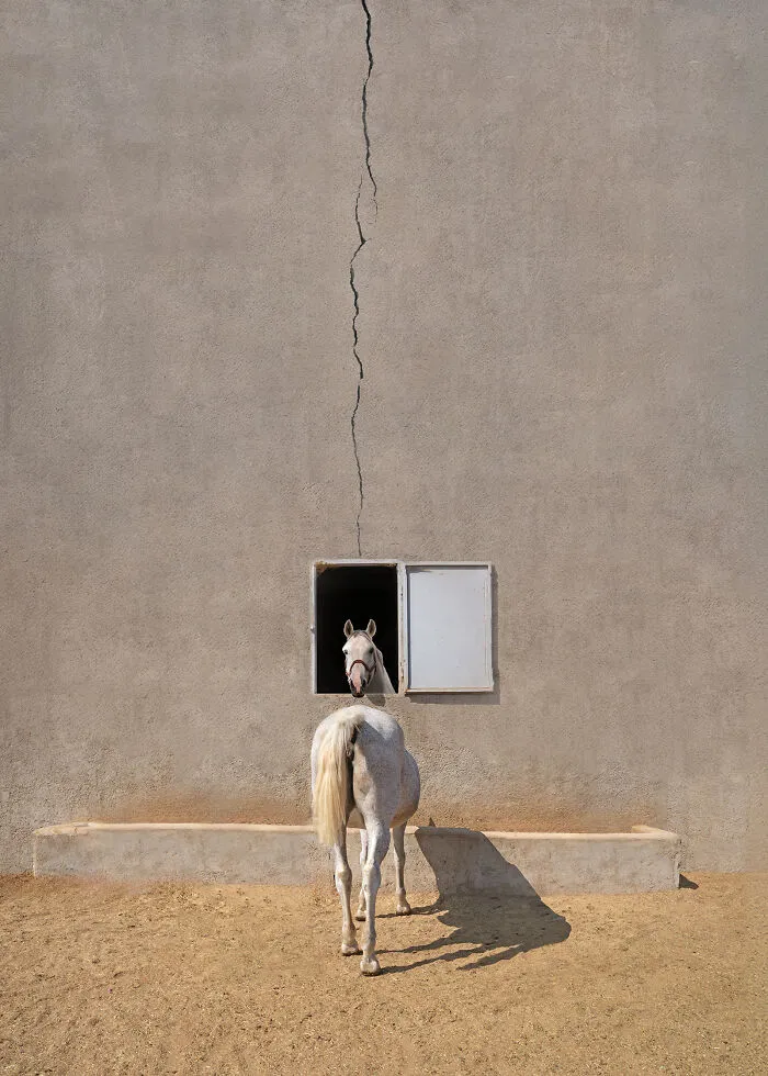 “Legend1” By  Abolghasem Khoshro