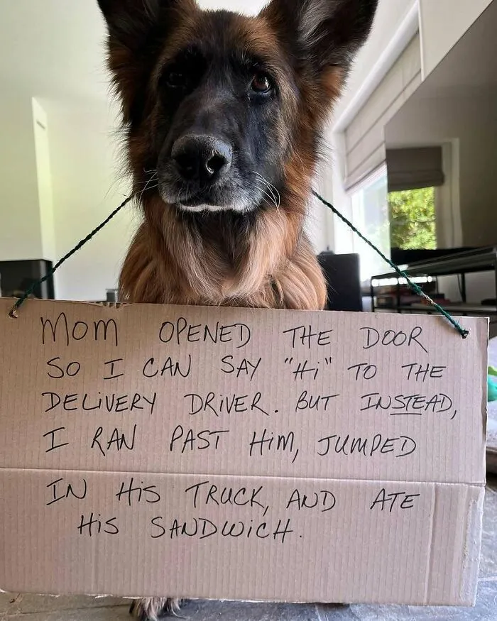 He Was Starving