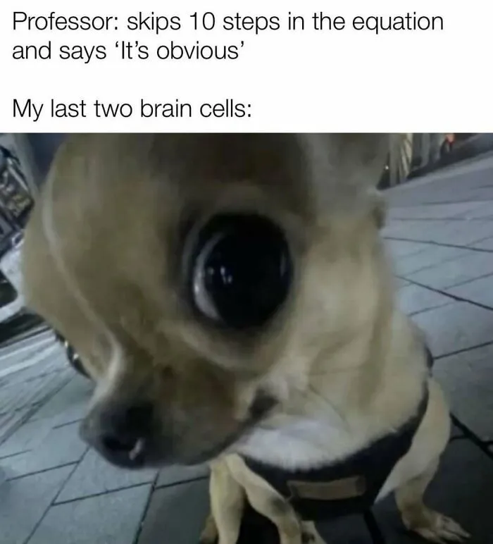 Distorted close-up photo of a dog representing confusion in math memes for mathematicians and nerds.