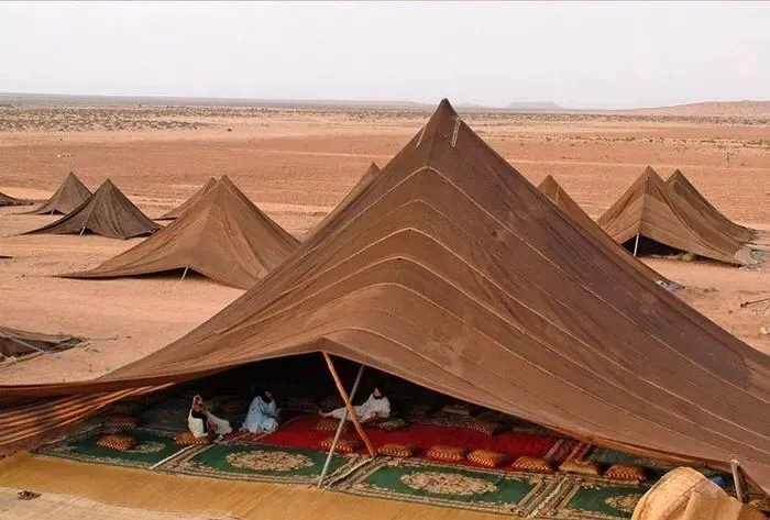 Bedouin Tents In Morocco