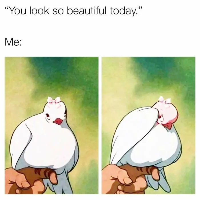 109 Memes That Prove Humor Makes Life’s Chaos Easier To Handle