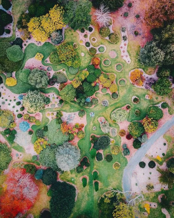 The Botanical Gardens In Mount Lofty, Australia Shot From Above