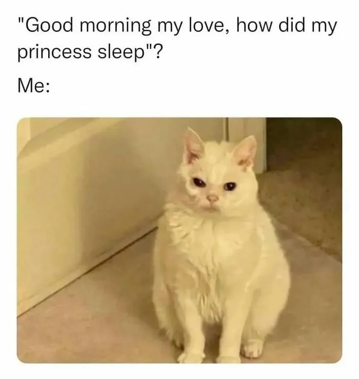 109 Memes That Prove Humor Makes Life’s Chaos Easier To Handle