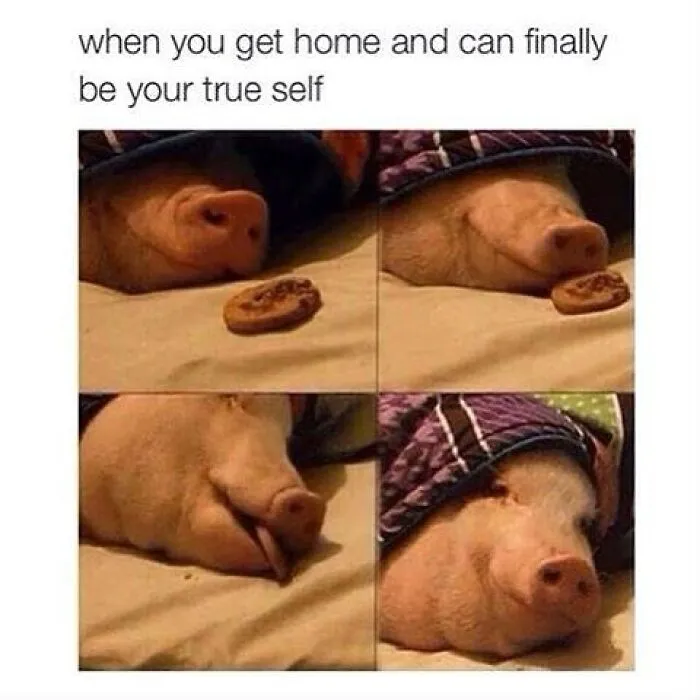 109 Memes That Prove Humor Makes Life’s Chaos Easier To Handle