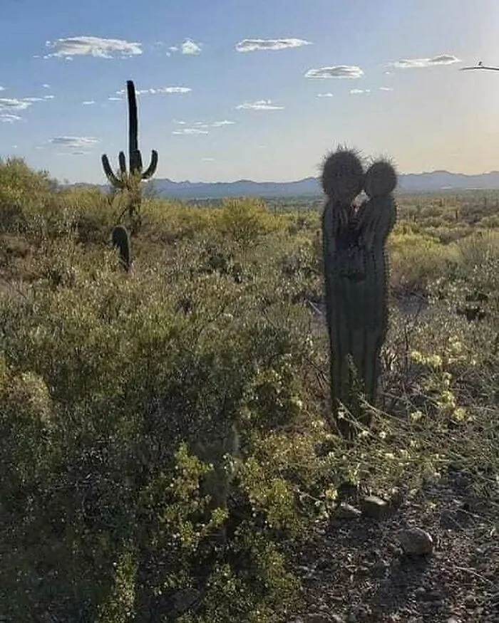 80 Random Pics That Don’t Need Context To Be Funny