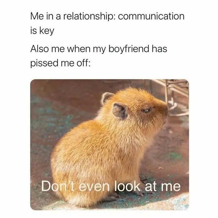 109 Memes That Prove Humor Makes Life’s Chaos Easier To Handle