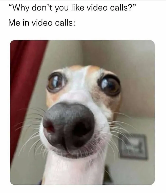 109 Memes That Prove Humor Makes Life’s Chaos Easier To Handle