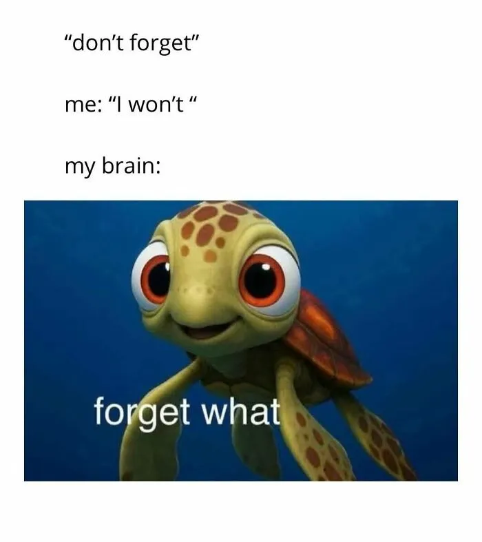 109 Memes That Prove Humor Makes Life’s Chaos Easier To Handle