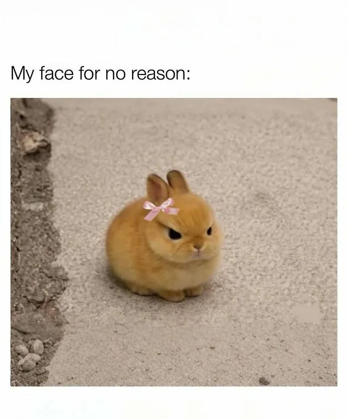 109 Memes That Prove Humor Makes Life’s Chaos Easier To Handle