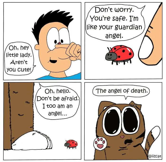 This Cartoonist Turns Everyday Cat Nonsense Into Hilarious Comics (29 New Comics)