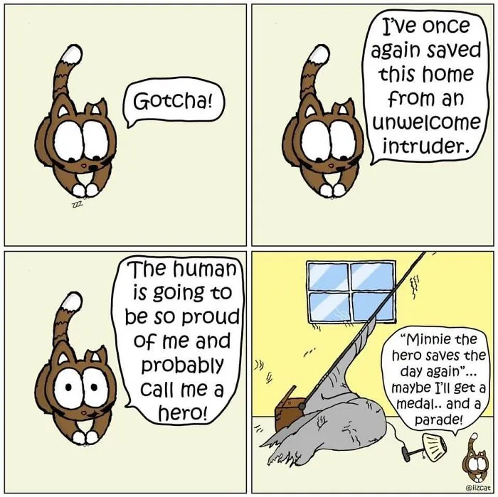 This Cartoonist Turns Everyday Cat Nonsense Into Hilarious Comics (29 New Comics)