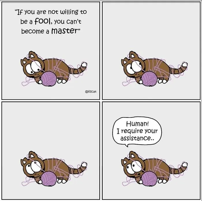 This Cartoonist Turns Everyday Cat Nonsense Into Hilarious Comics (29 New Comics)