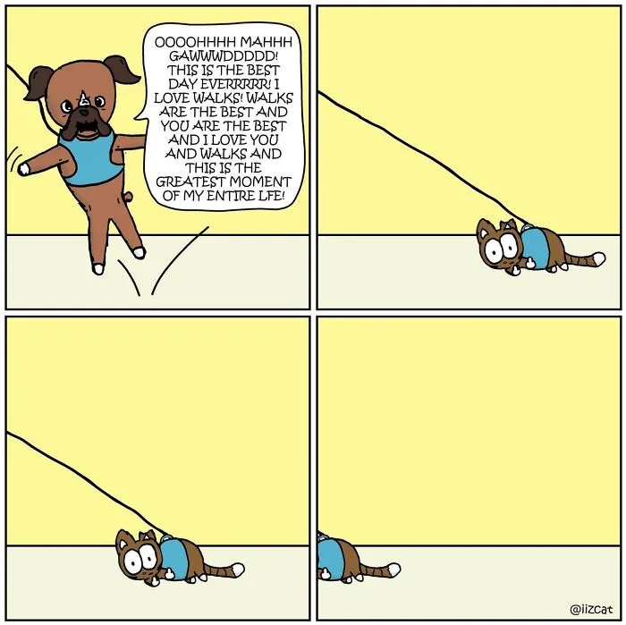 This Cartoonist Turns Everyday Cat Nonsense Into Hilarious Comics (29 New Comics)