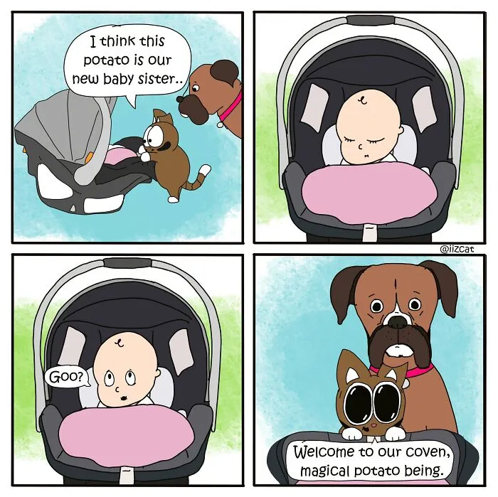 This Cartoonist Turns Everyday Cat Nonsense Into Hilarious Comics (29 New Comics)