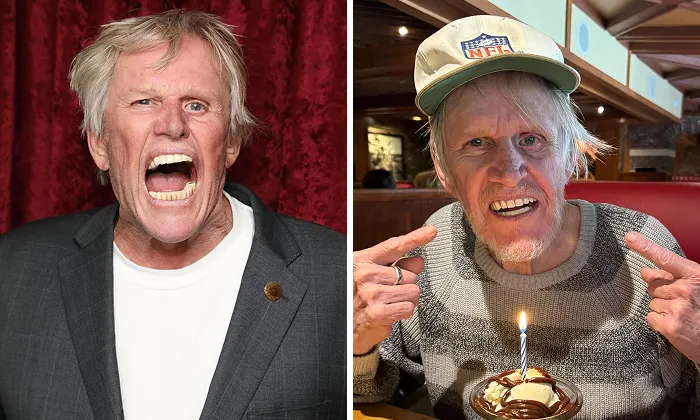 Gary Busey