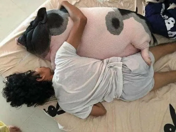 30 Wholesome “Important Animal Images” That Prove The Human-Animal Bond Is Unbreakable (New Pics)