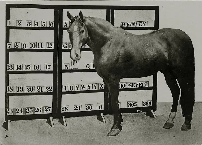 Beautiful Jim Key - Educated Horse