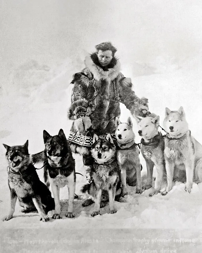 Togo The Sled Dog (On The Far Left)