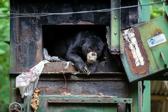 23 Wildlife Photos Shortlisted For The Natural History Museum People’s Choice Award