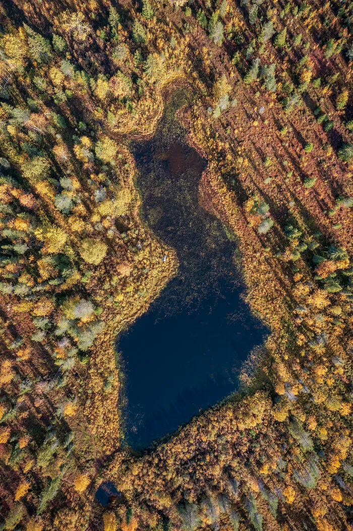 Aerial view of a uniquely shaped lake surrounded by autumn forest, one of the unusual places around the world.