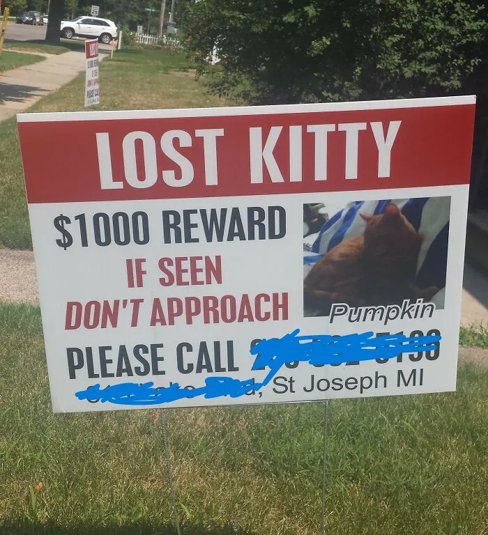 Apparently Pumpkin's Got Issues