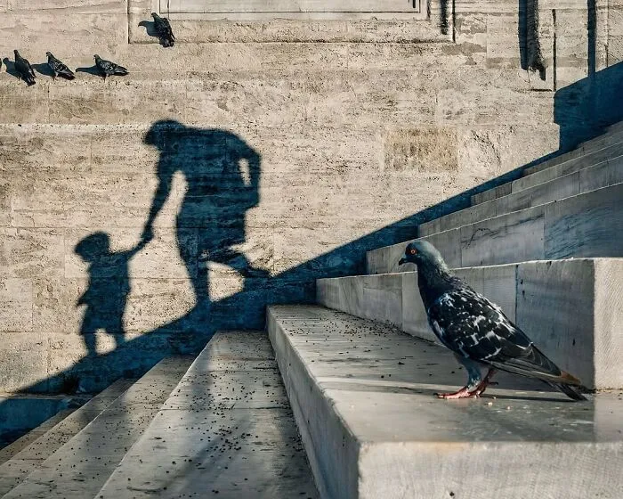 37 Fascinating Photos That Prove Timing Is Everything (New Pics)