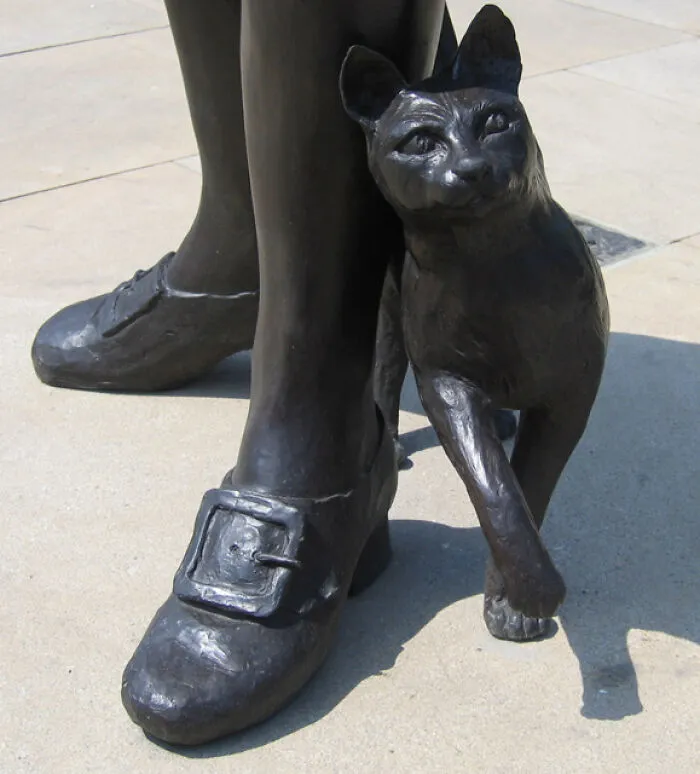 Trim The Cat - Navy Ship Companion