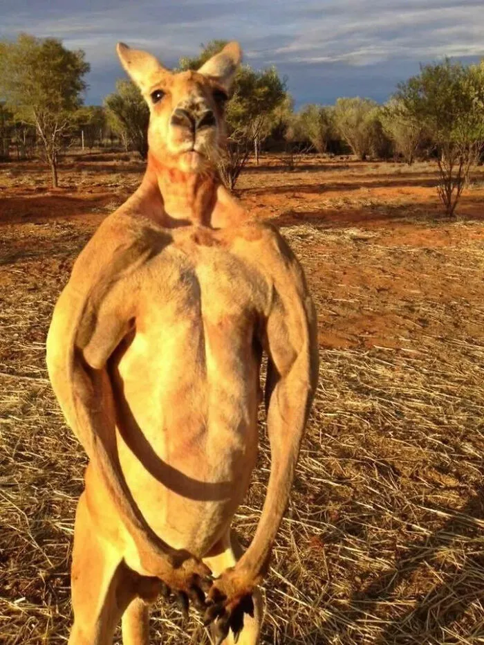 Australia