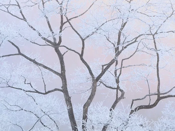 Intimate Landscape, 1st Place: Dreamy State By Sho Hoshino