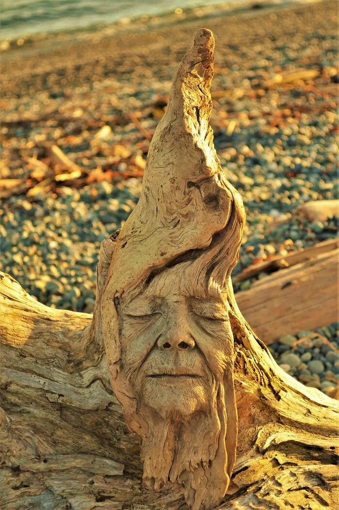I Create Driftwood Art That Looks Like Nature Came To Life (29 New Pics)