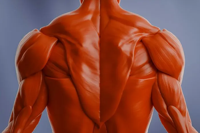 40 Autopsy Doctors Share The Most Bizarre Cases They’ve Ever Seen