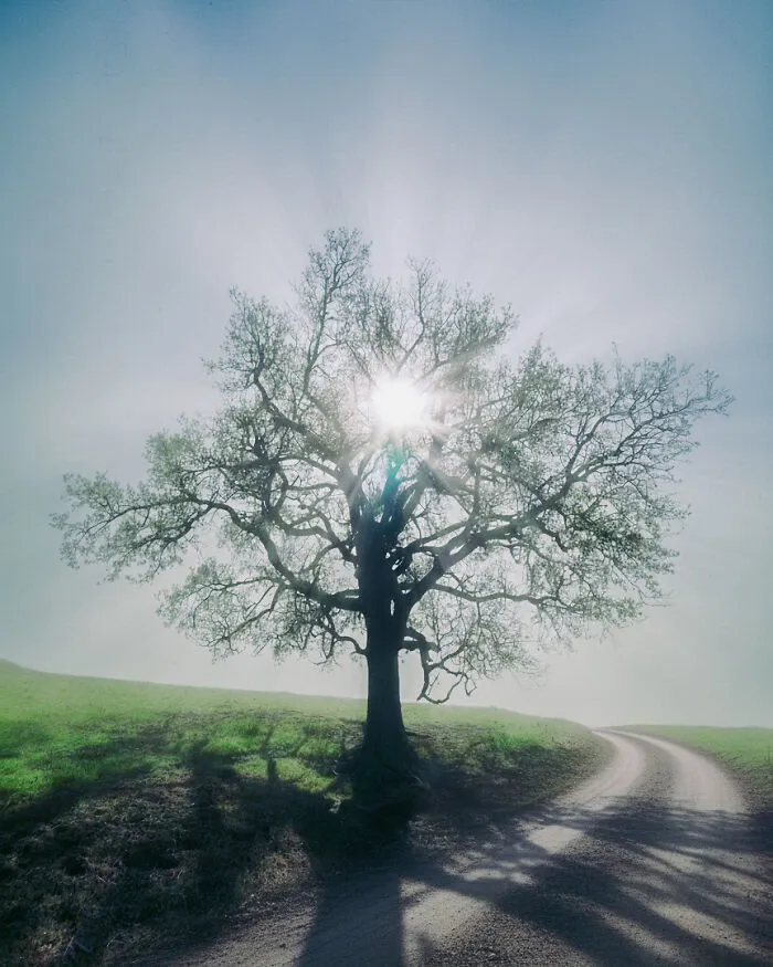 This FB Page Is Dedicated To Liminal Photography, And Here Are 79 Of The Most Eerie Photos