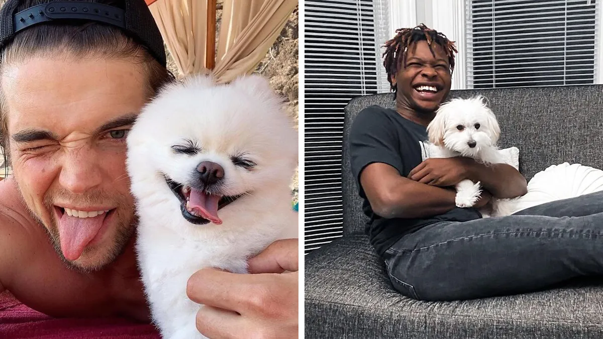 These 49 Photos Of Men With Their Dogs Are Almost Too Wholesome For The Internet