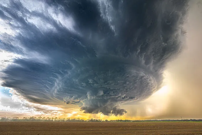 The Most Stunning Nature Photos Of 2025, According To The IPA Awards