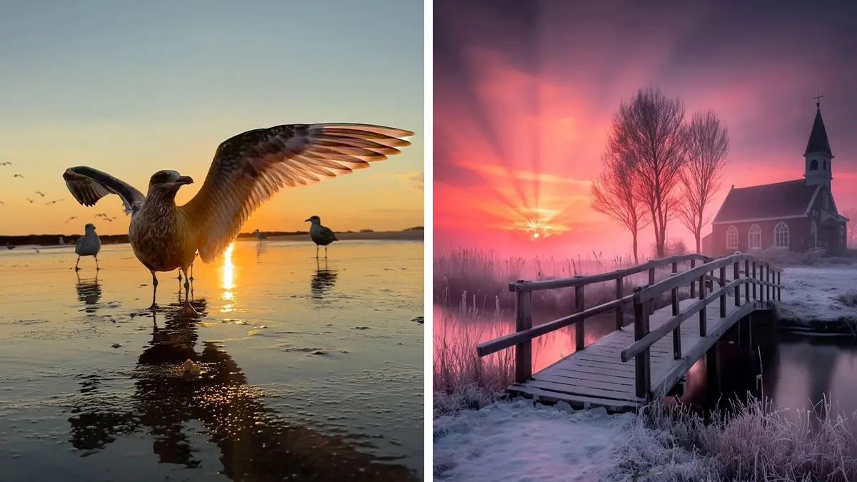 43 Jaw-Dropping Photos Shared By The ‘Best Sunset Pics’ Instagram Page