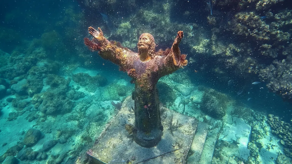 71 Terrifying Pics That Might Make You Afraid Of The Ocean
