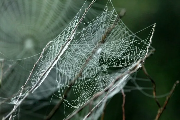 45 Times Neighbors Did Something So Strange It Had To Be Shared