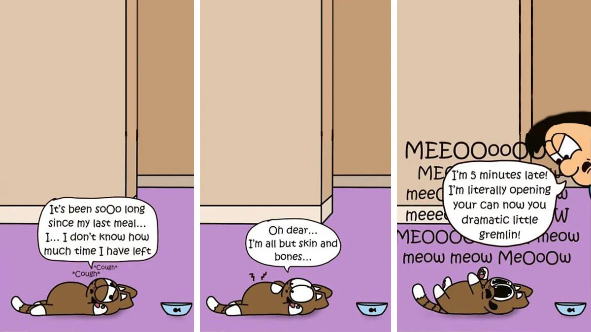 This Cartoonist Turns Everyday Cat Nonsense Into Hilarious Comics (29 New Comics)